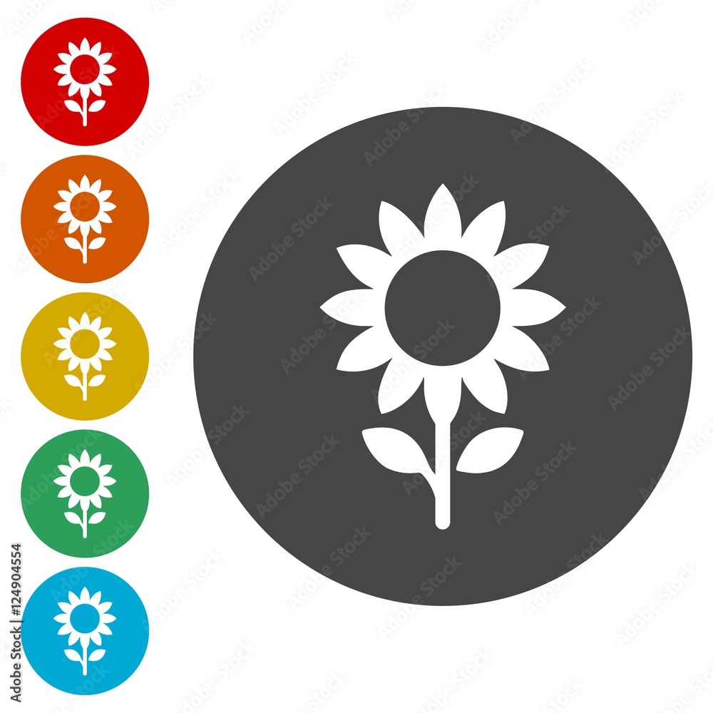 Sunflower icon - Vector Sunflower icon - Vector