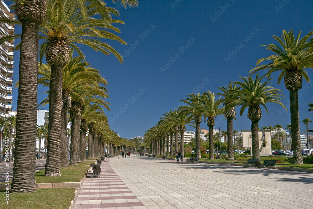 Naklejka Promenade near beach