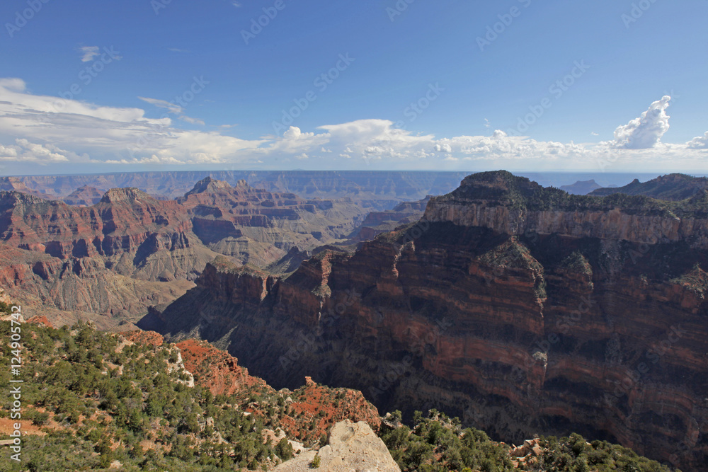 grand canyon view