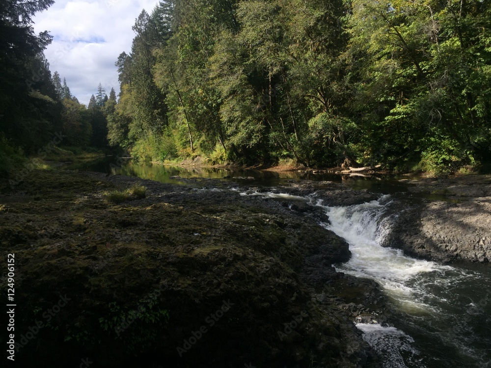 Fototapeta premium waterfall on creek