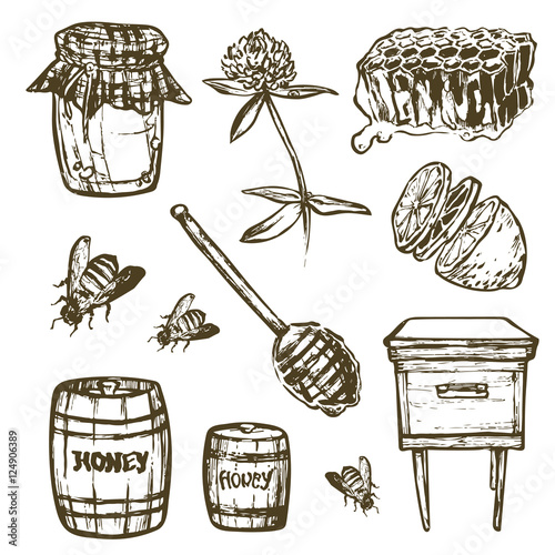 Set with honey elements. Jar, spoon, stick, cells, clover, beehive, bee, lemon, keg.