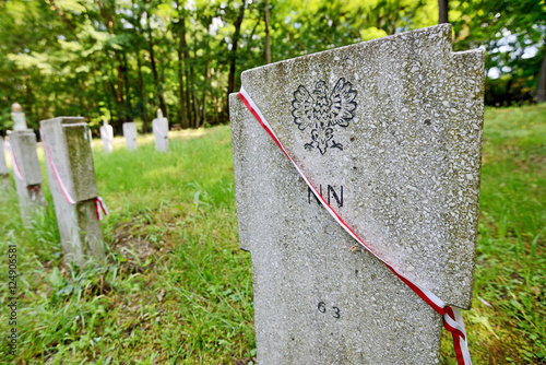 Cmentarz Bohaterów Polskich
