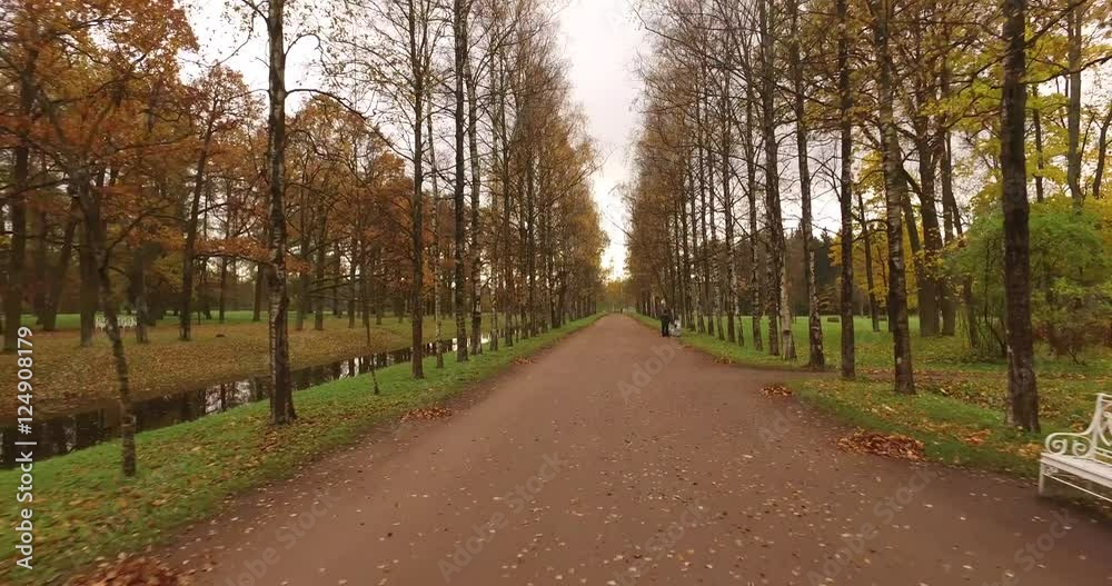 Camera shows the ride of the cart heading by two horses. Cart moving through beautiful park in the fall. Camera shows the ride of the cart heading by two horses. Cart moving through beautiful park in the fall.