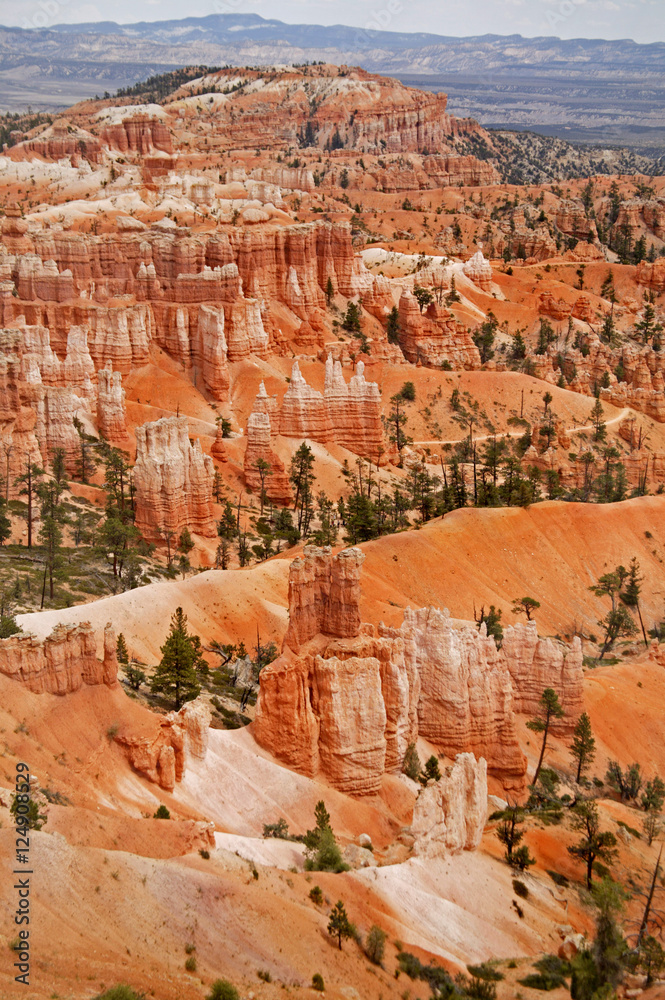 bryce canyon scenics bryce canyon scenics