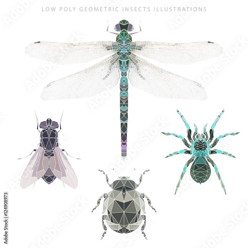 Vector low poly geometric insects illustrations set. Dragonfly, fly, spider and scarab. Ethnics T shirt, apparel, banner, poster graphics design.