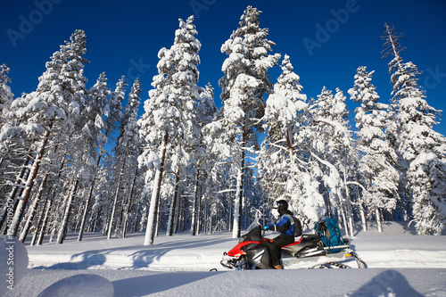 Man driving snowmobile in snowy forest in a sunny day. Lapland, Finland. photo