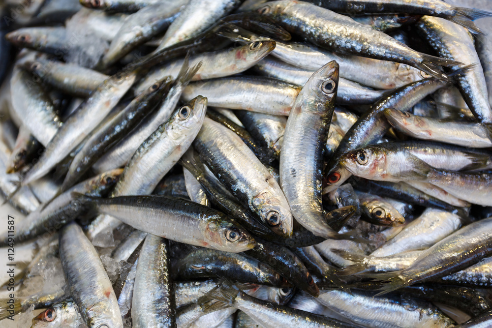 The fresh sprat The fresh sprat