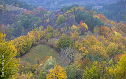 the mountain autumn landscape with colorful forest