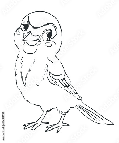 Bird sparrow. Vector sketch characters for coloring