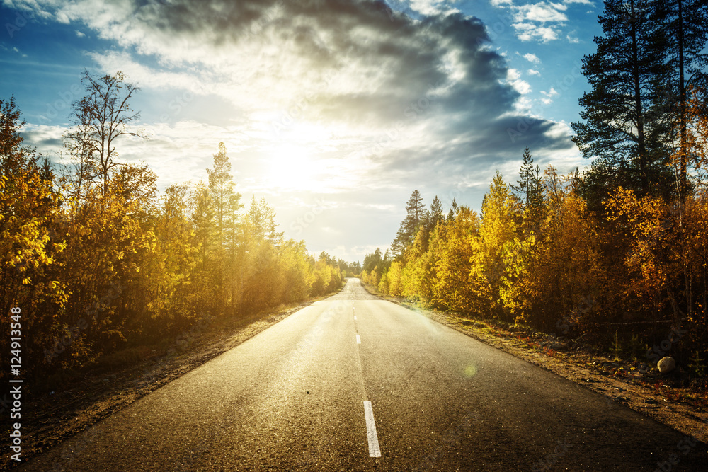 road in north forest in autumn time