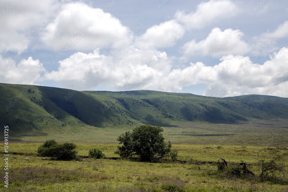 Obraz premium Ngorongoro Crater Conservation Area, Tanzania.East Africa