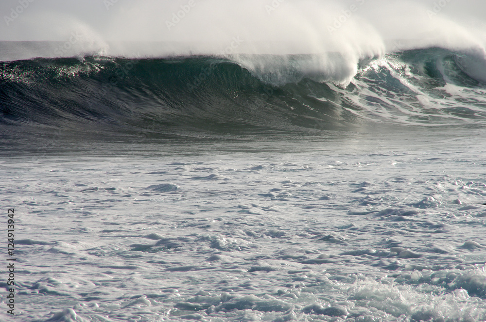 Obraz premium Vagues argentées 