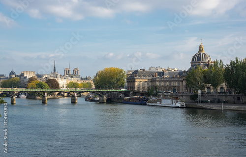 Seine River in Paris © gumbao