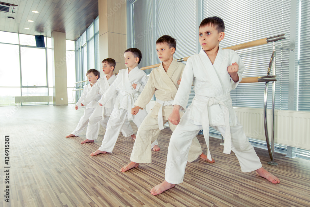 young, beautiful, successful multi ethical kids in karate positi young, beautiful, successful multi ethical kids in karate positi