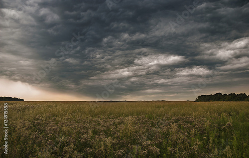 Dark storm clouds in the sky above a wild field.