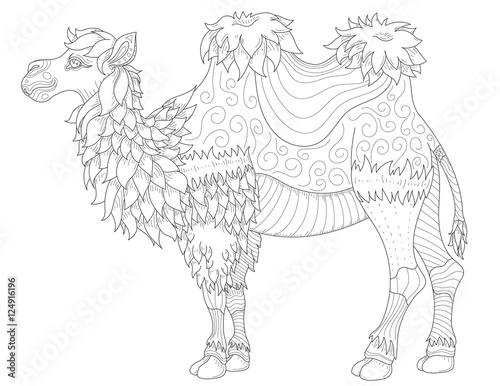Vector anti stress coloring book page for adult with camel