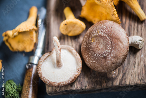 Fresh aromatic wild mushrooms