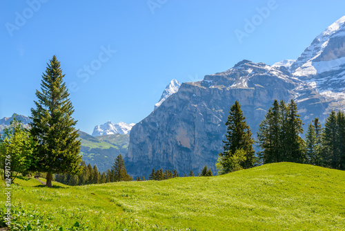 View of beautiful landscape in the Alps with fresh green meadows and snow-capped mountain tops in the background on a sunny day with blue sky and clouds in springtime.