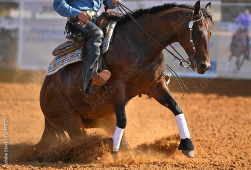 The side view of a rider in cowboy chaps, boots and hat on a horseback running ahead and stopping the horse in the dust. © PROMA