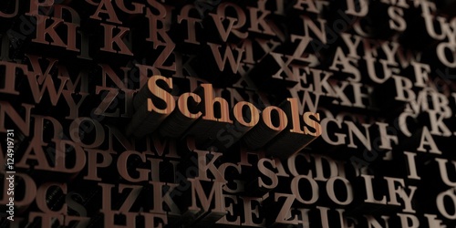 Schools - Wooden 3D rendered letters/message. Can be used for an online banner ad or a print postcard.