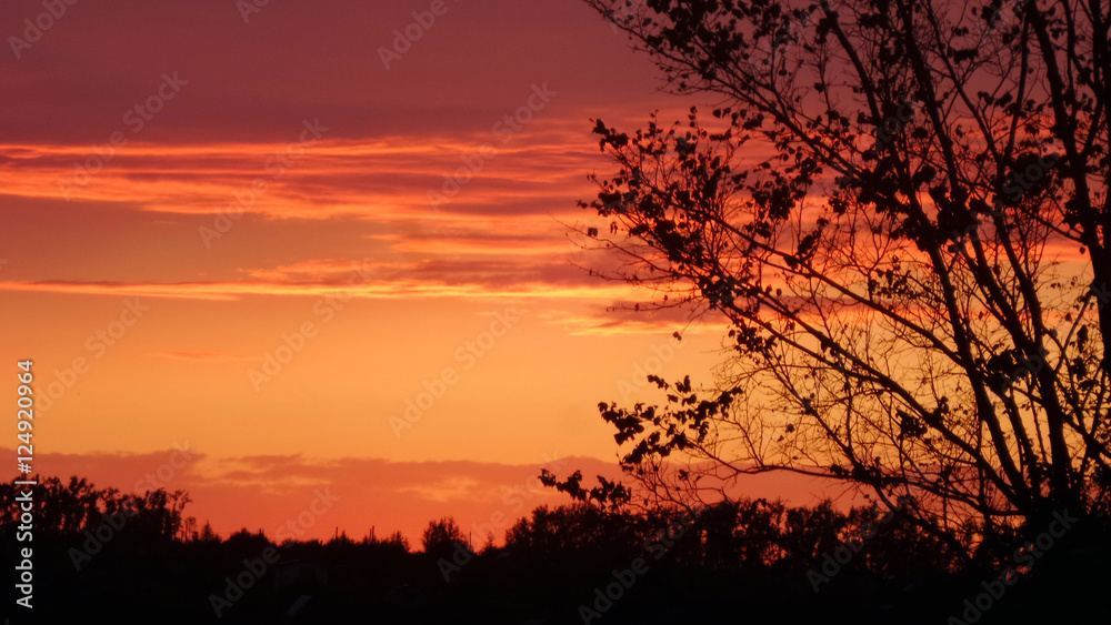 sunset sunset