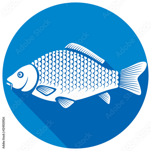 carp fish flat icon
