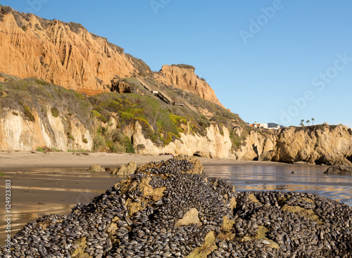 El Matador State Beach California photo