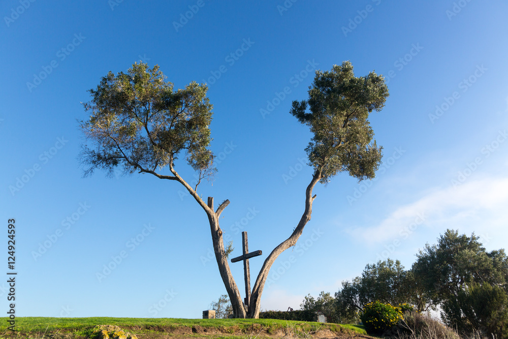Serra Cross in Ventura California between trees Serra Cross in Ventura California between trees