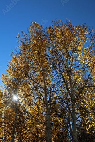 Fall in Taos