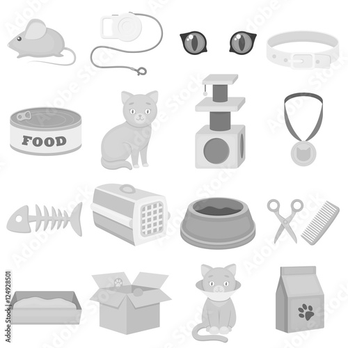 Cat equipment set icons in monochrome style. Big collection of cat equipment vector symbol stock illustration