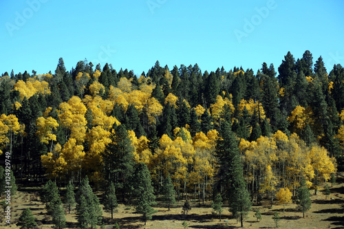 Fall in Taos