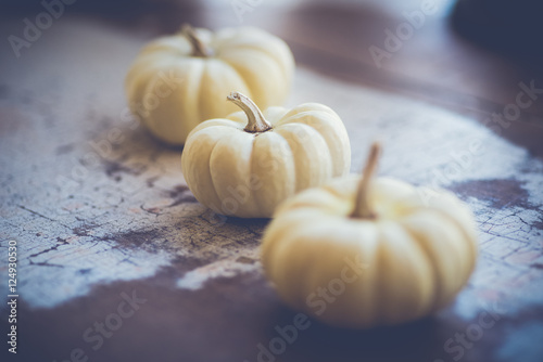 White Pumpkins on Farm Table