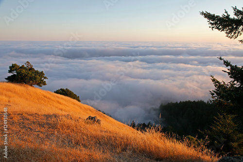 hills n fog