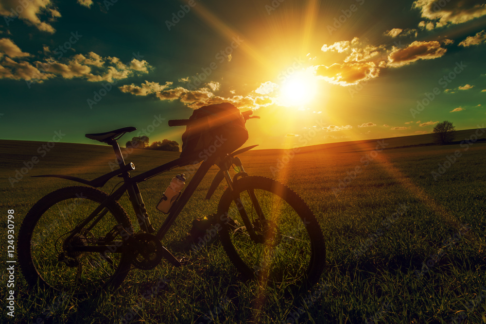Naklejka premium Mountain biking down hill descending fast on bicycle. View from