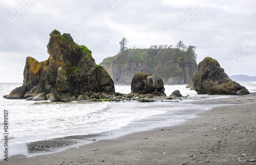 Pacific coast, Olympic National Park
