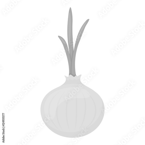 Onion icon monochrome. Singe vegetables icon from the eco food monochrome.