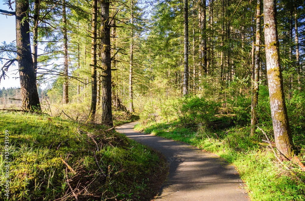 Fototapeta premium Mima Mounds Natural Area Preserve