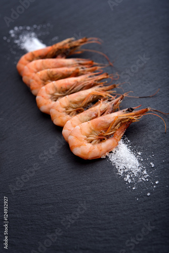 Shrimps on black board