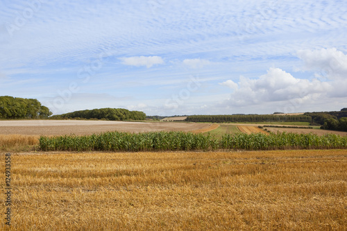 scenic agricultural landscape