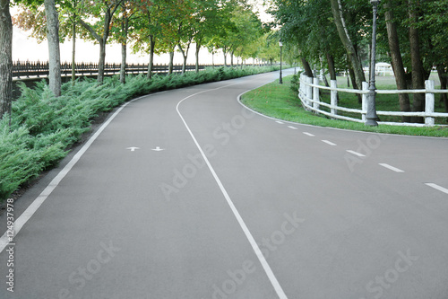 Wallpaper Mural Road in park with arrow signs showing direction of movement Torontodigital.ca