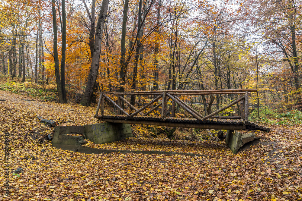 Small Bridge and Autumn trees, Vitosha Mountain, Sofia City Region, Bulgaria