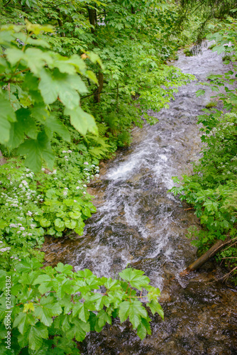 Mountains and meadows with a small creek