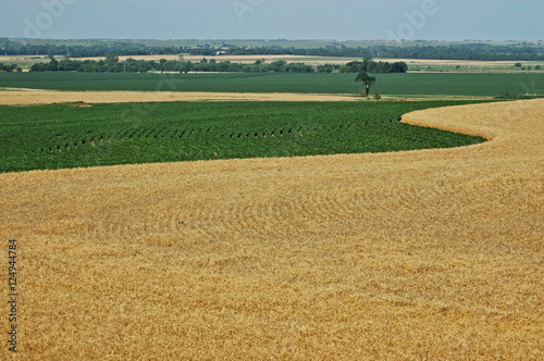 Scenic Farmland