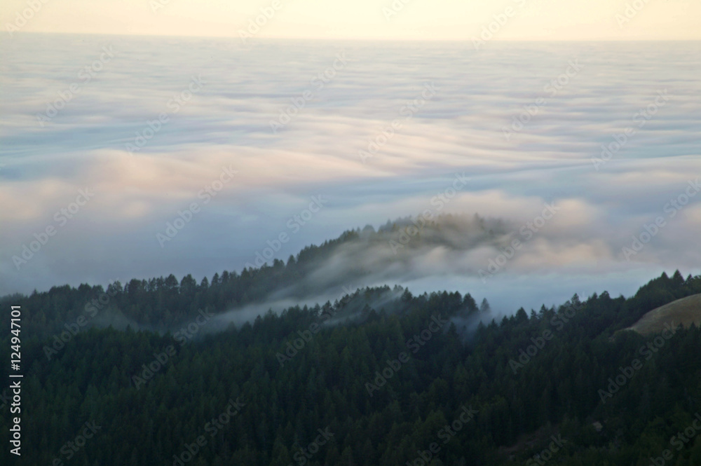 rolling fog ocean