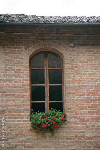 window w flowers