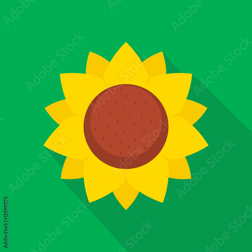 Fototapeta Naklejka Na Ścianę i Meble -  Sunflower flat design vector illustration