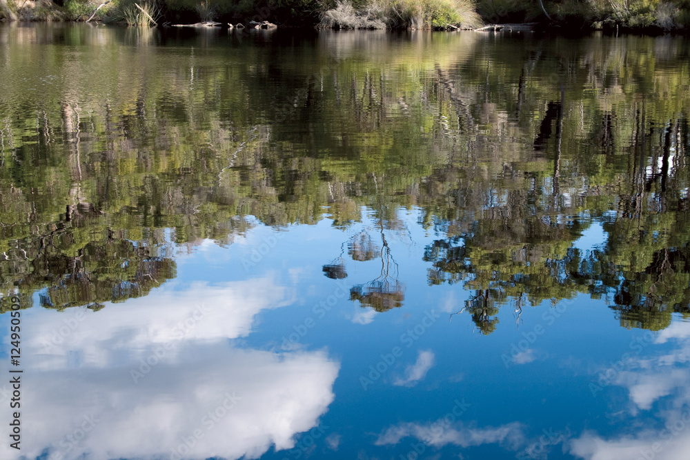 Forest Reflections, Rowell's Pool Forest Reflections, Rowell's Pool