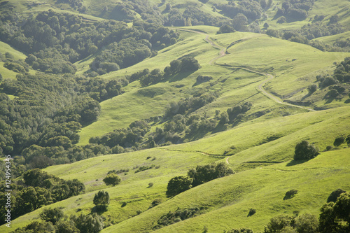 lucas valley hills