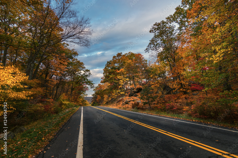 Autumn in bear mountain New York. View of an empty road between the fall golden foliage Autumn in bear mountain New York. View of an empty road between the fall golden foliage
