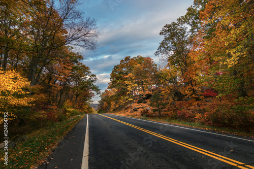 Autumn in bear mountain New York. View of an empty road between the fall golden foliage © ericurquhart